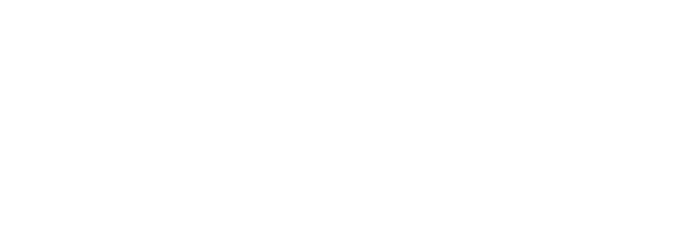 FOCUS Performance